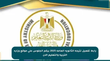 رابط تفعيل نتيجة الثانوية العامة 2025 برقم الجلوس على موقع وزارة التربية والتعليم الآن